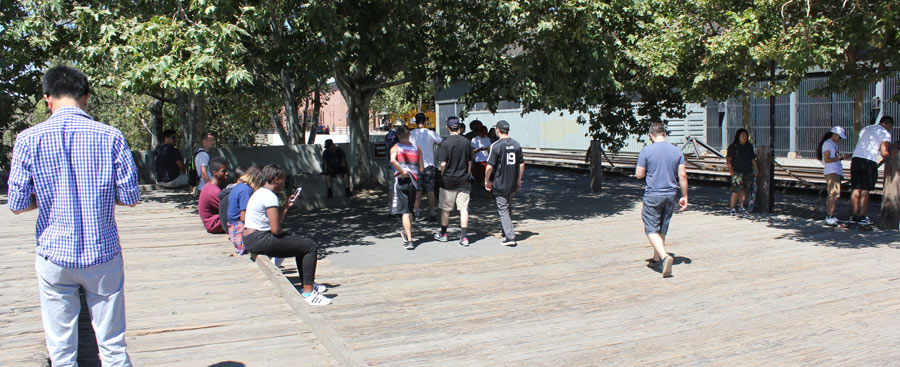 Pokemon GO Interview in Sacramento, California