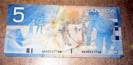 canada 5 back