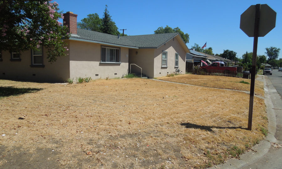Green Lawn