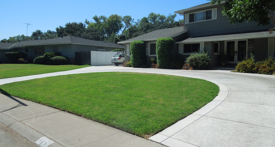 Green Lawn