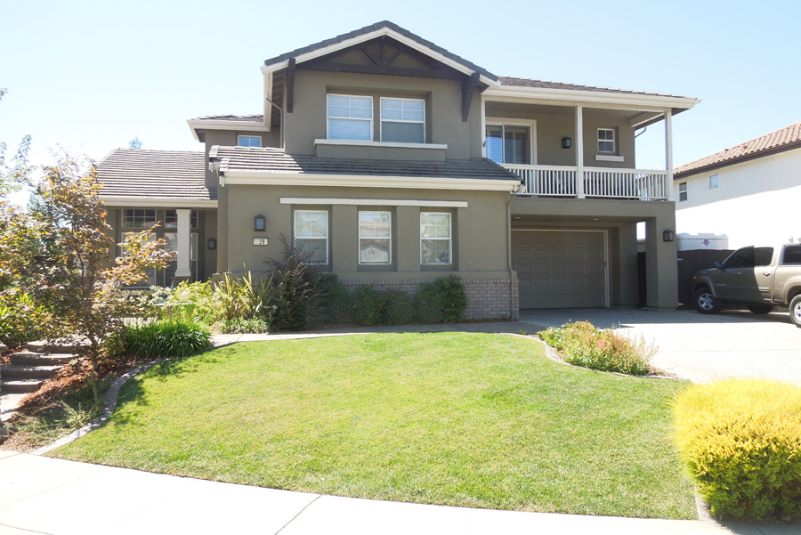 Green Lawn