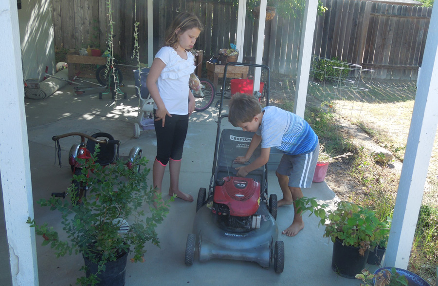 lawnmower grass catcher