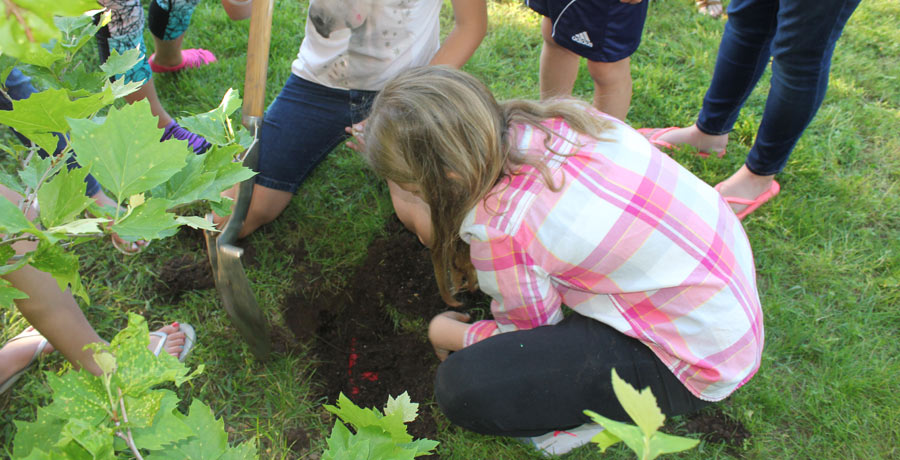 Buried Treasure Hunt