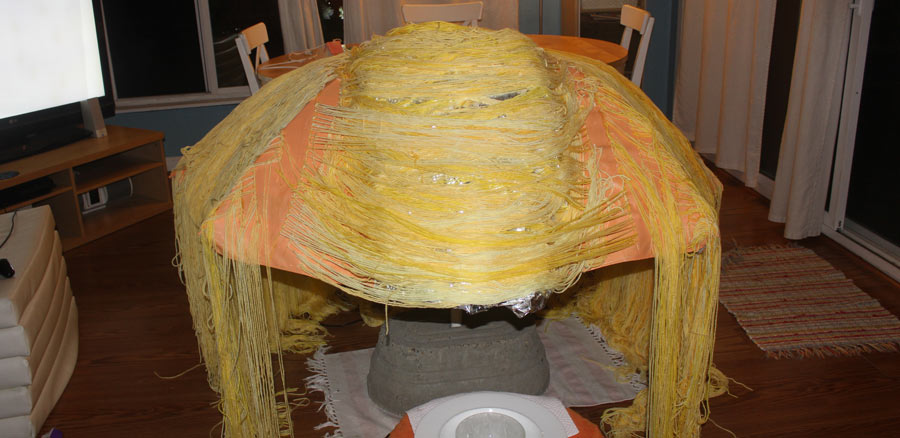 Donald Trump's hair costume