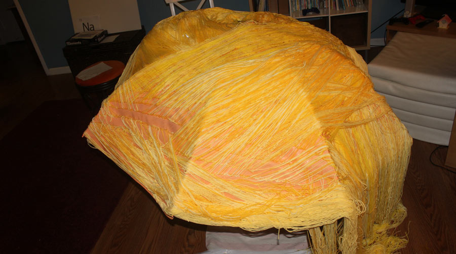 Donald Trump's hair costume