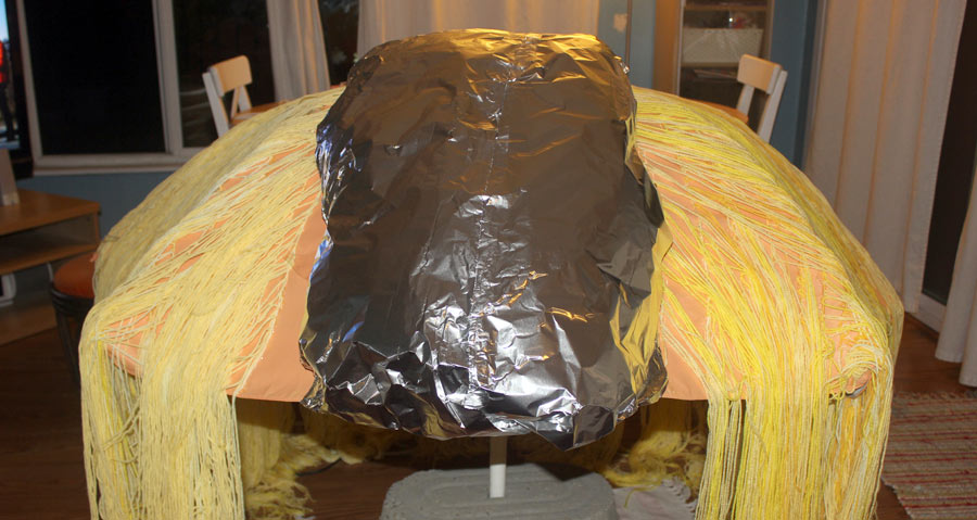 Donald Trump's hair costume
