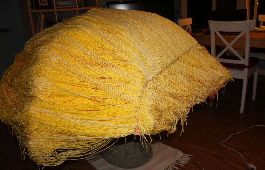 Donald Trump's hair costume