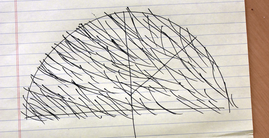 Donald Trump's hair costume