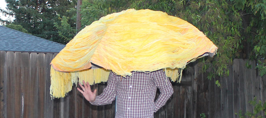 Donald Trump's hair costume