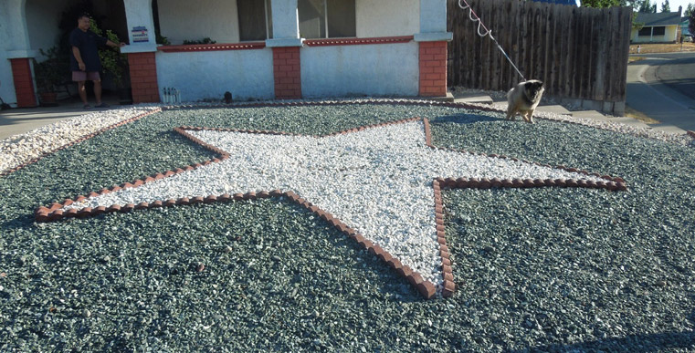 Twenty Five Examples of Low- and No-water Front Lawns