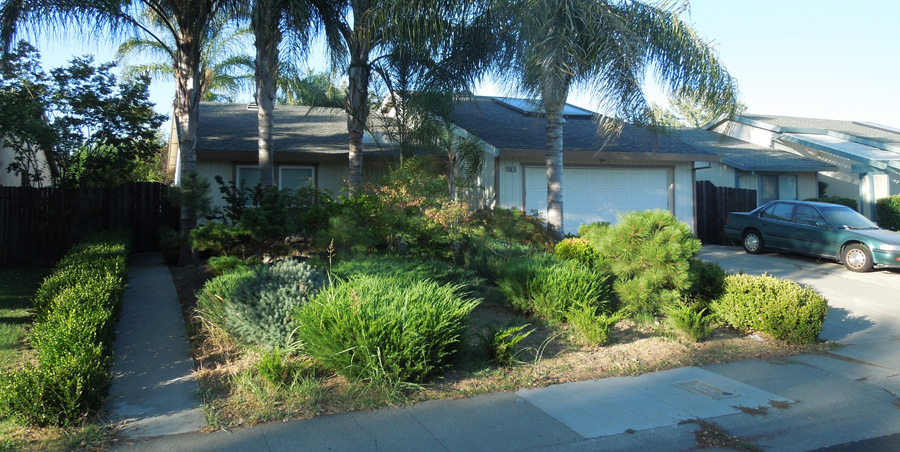 no lawn house