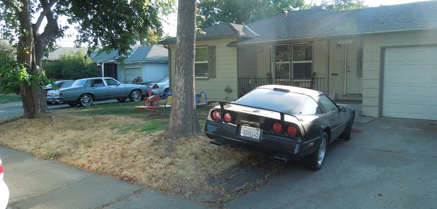 corvette on the lawn