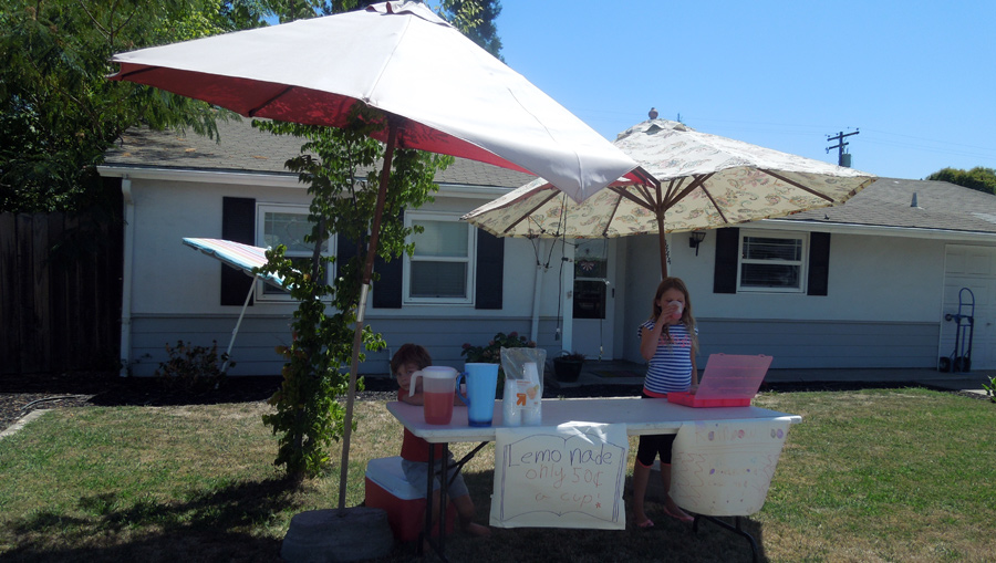 Whole Lemonade Stand Setup