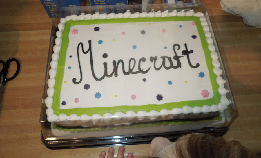 Minecraft Party