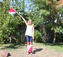 Signaling C in semaphore