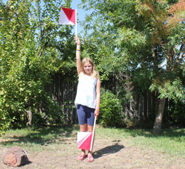 Signaling D in semaphore