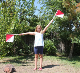 Signaling Q in semaphore