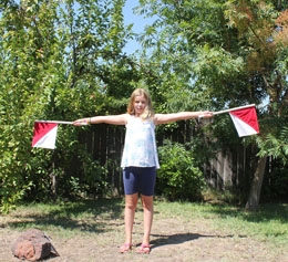 Signaling R in semaphore