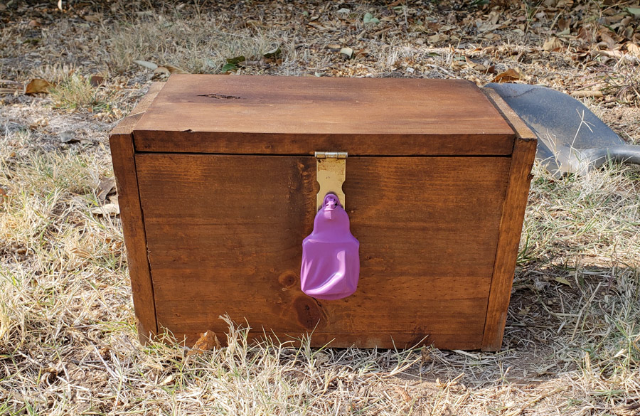 Treasure Hunt for tween boys