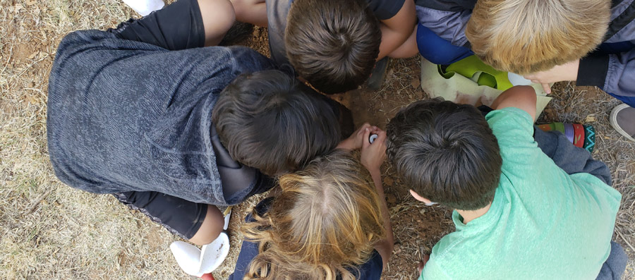 Treasure Hunt for tween boys