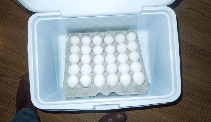 Eating Raw Eggs in the Rocky Challenge