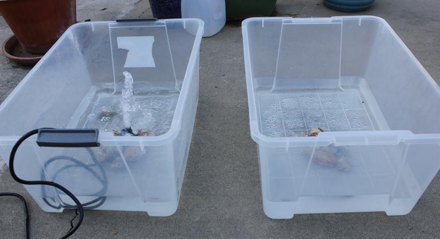 How Much water evaporates from a fountain?