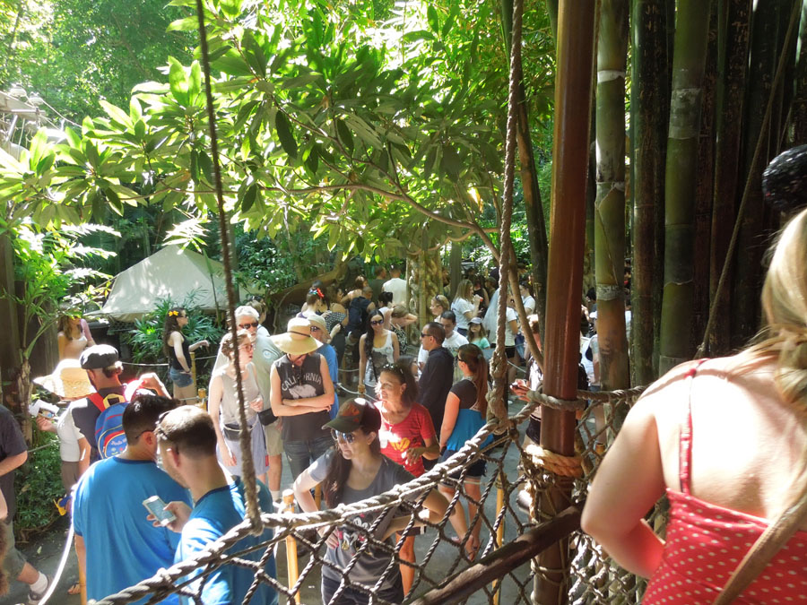 Disneyland Indiana Jones Ride