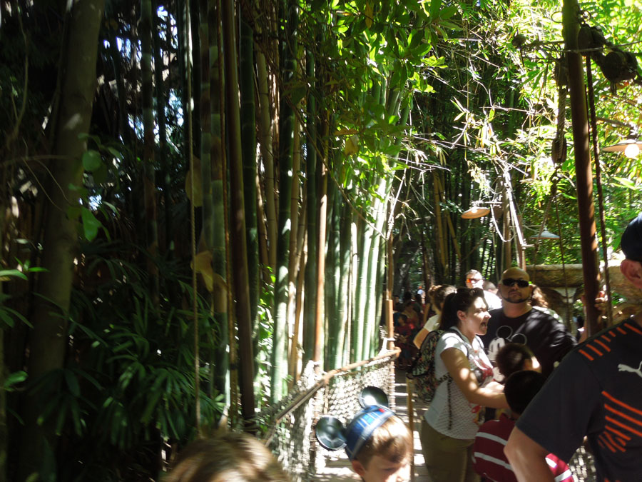 Disneyland Indiana Jones Ride