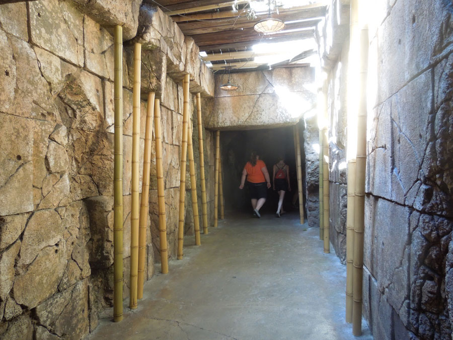 Disneyland Indiana Jones Ride