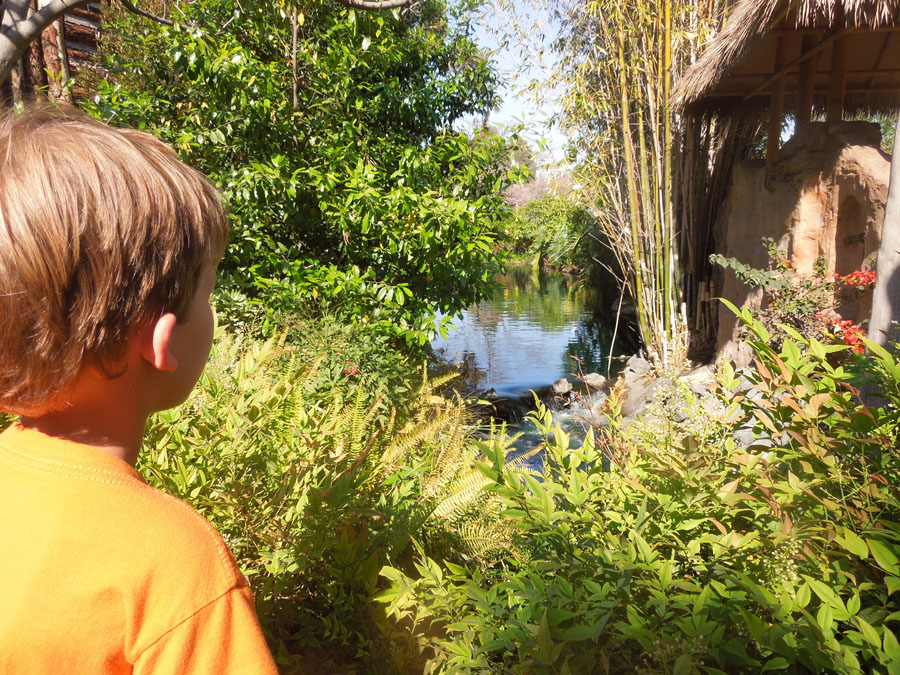 Disneyland Adventureland: North Side
