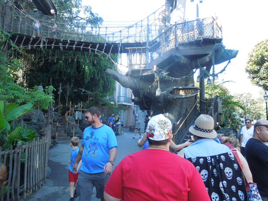 Disneyland Tarzan's Treehouse Picture