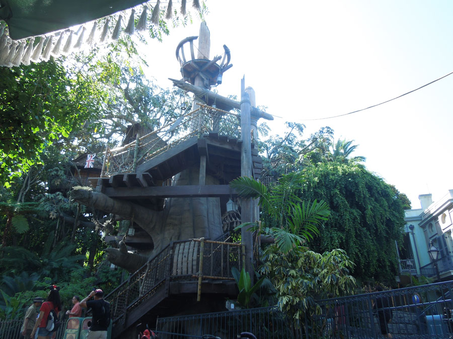 Disneyland Tarzan's Treehouse Picture