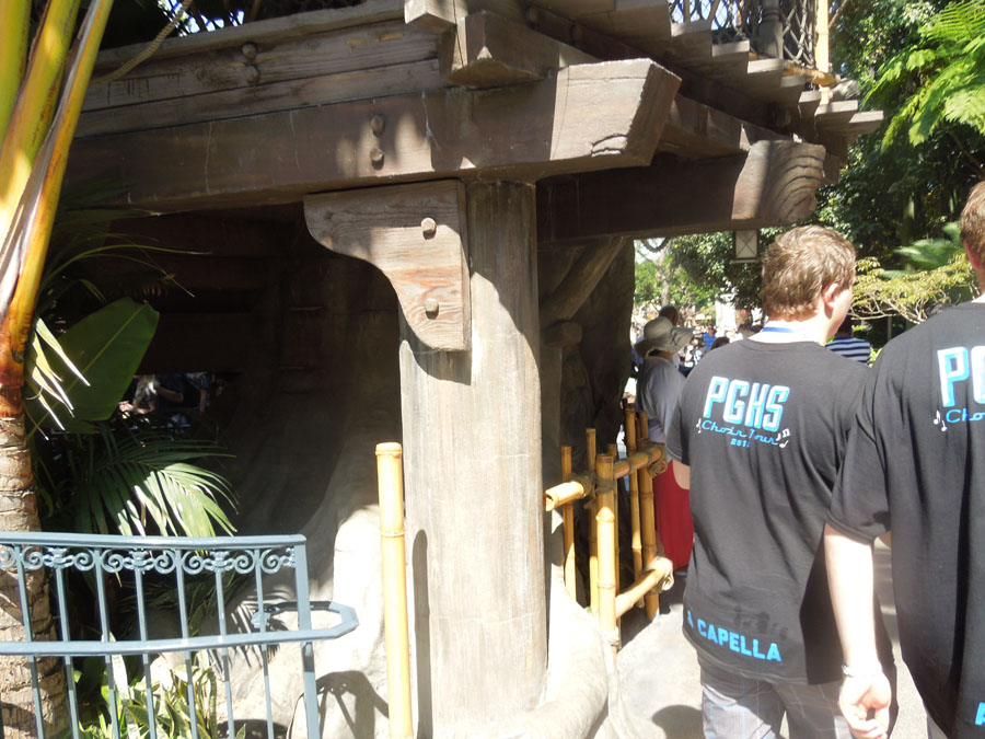 Disneyland Tarzan's Treehouse Picture