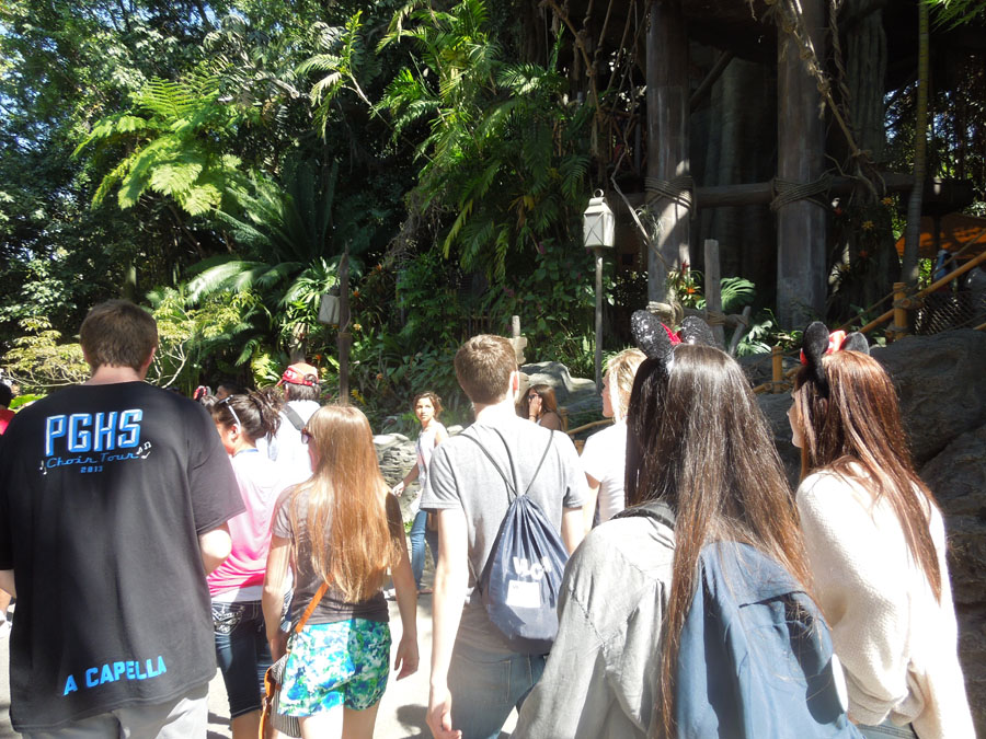 Disneyland Tarzan's Treehouse Picture