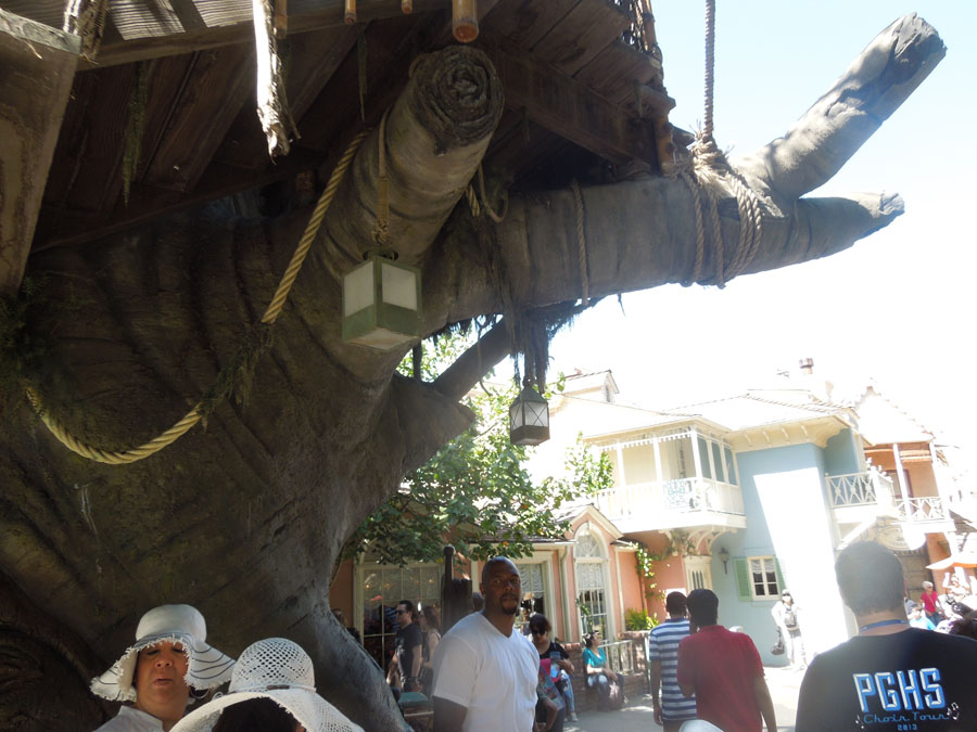 Disneyland Tarzan's Treehouse Picture