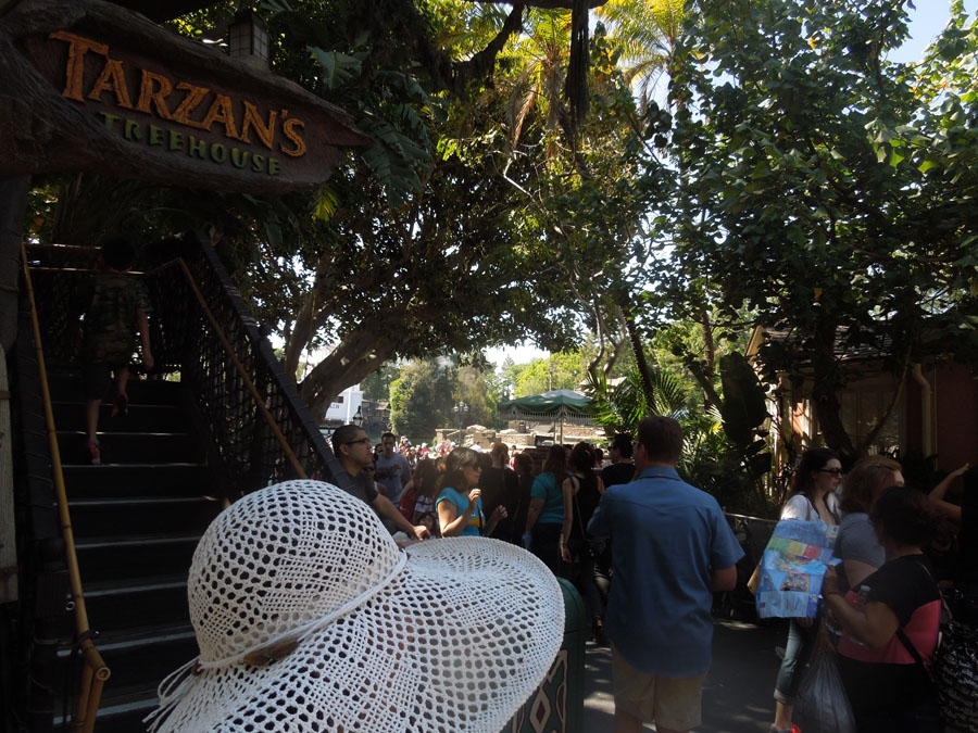 Disneyland Tarzan's Treehouse Picture