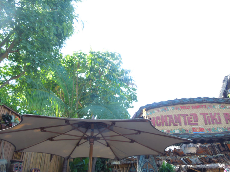 Disneyland Jungle Cruise in Adventureland