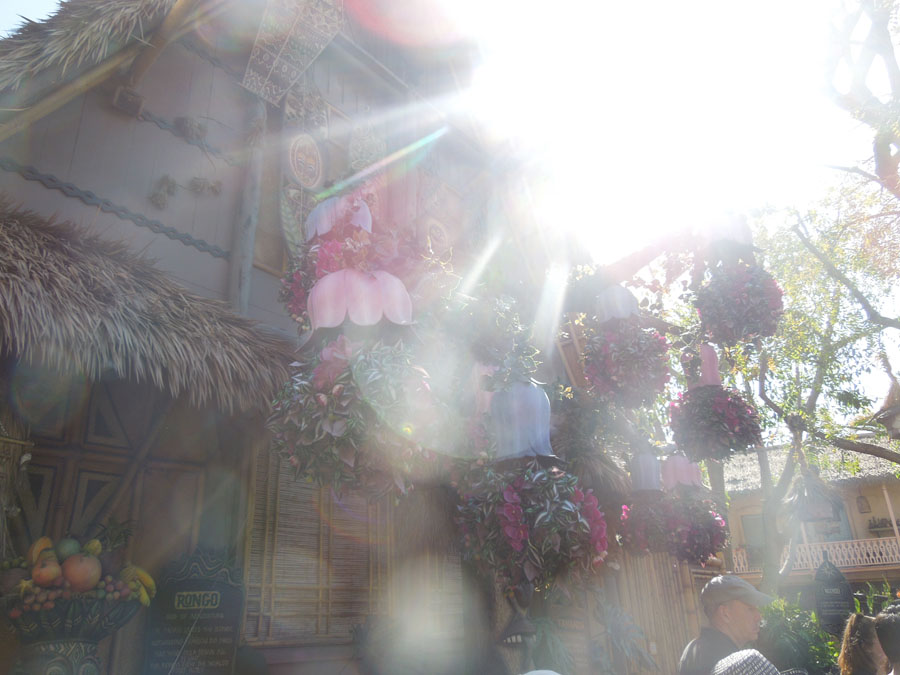 Disneyland Jungle Cruise in Adventureland