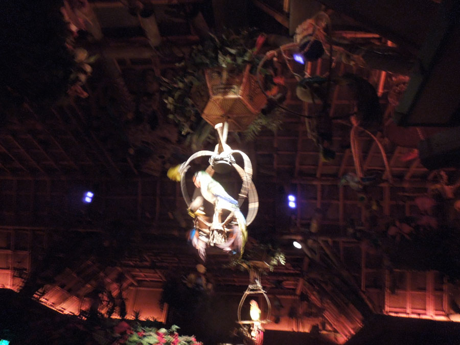Disneyland Jungle Cruise in Adventureland