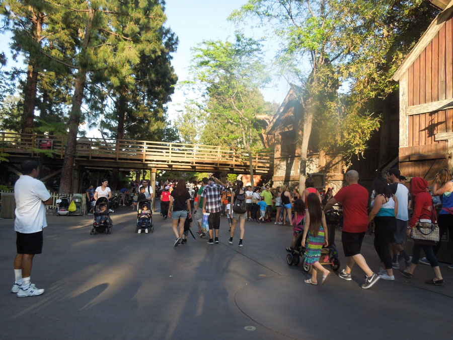 Disneyland Splash Mountain Pictures