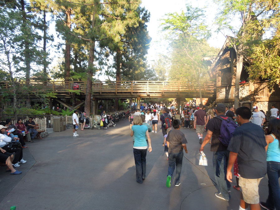 Disneyland Splash Mountain Pictures