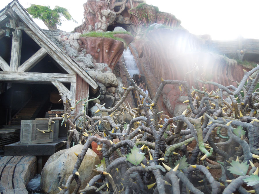 Disneyland Splash Mountain Ride Pictures