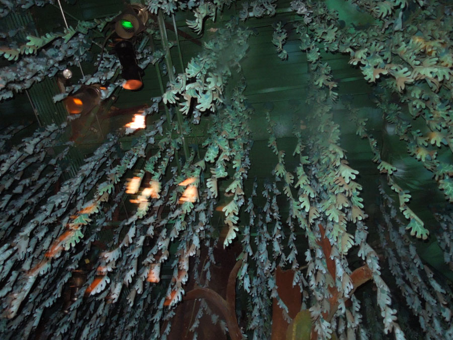 Disneyland Splash Mountain Ride Pictures