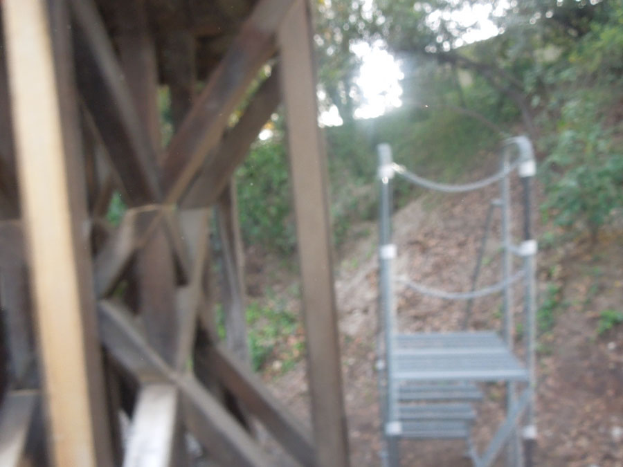 Disneyland Critter Country Train Picture