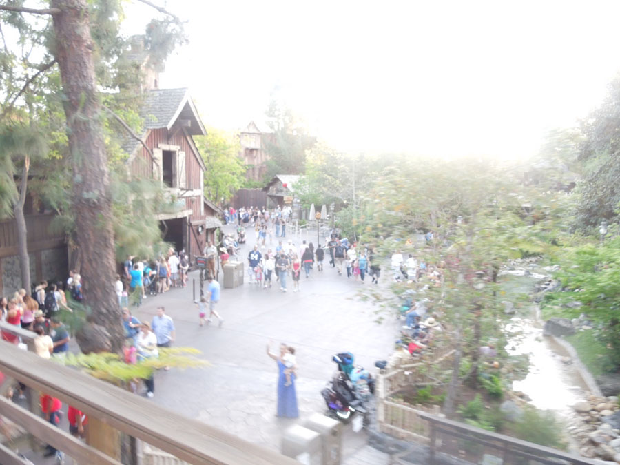 Disneyland Critter Country Train Picture
