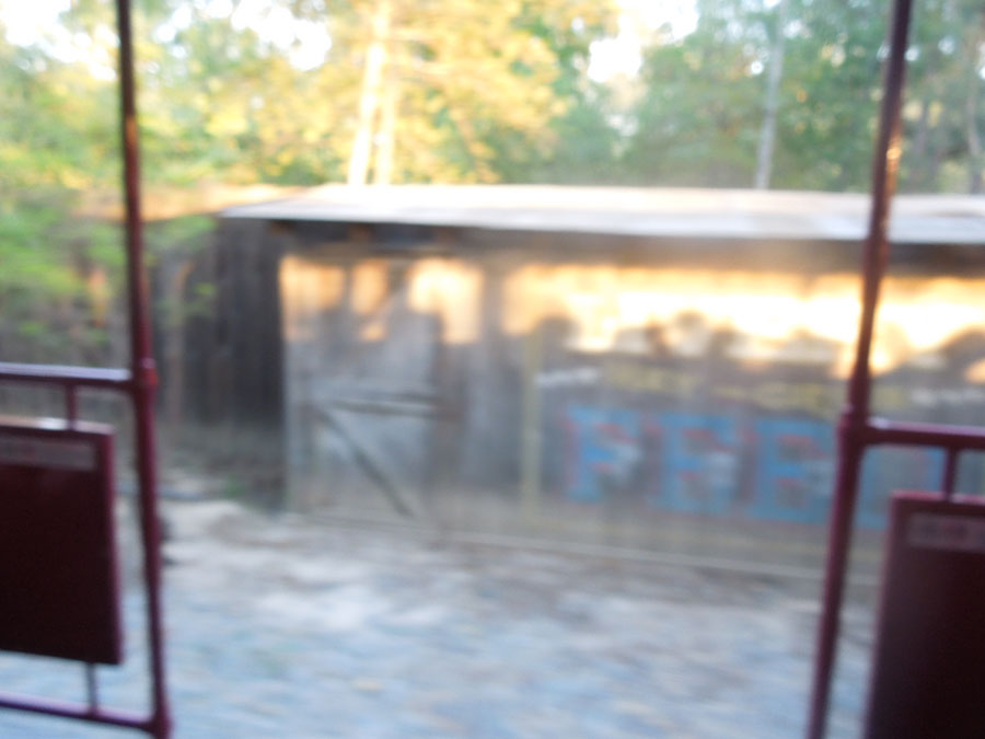 Disneyland Critter Country Train Picture