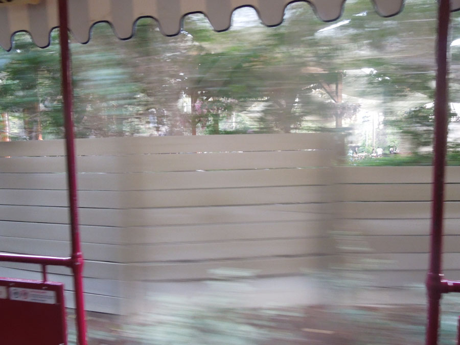 Disneyland Critter Country Train Picture