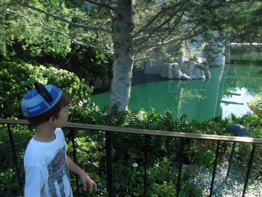 Disneyland Fantasyland Castle Picture