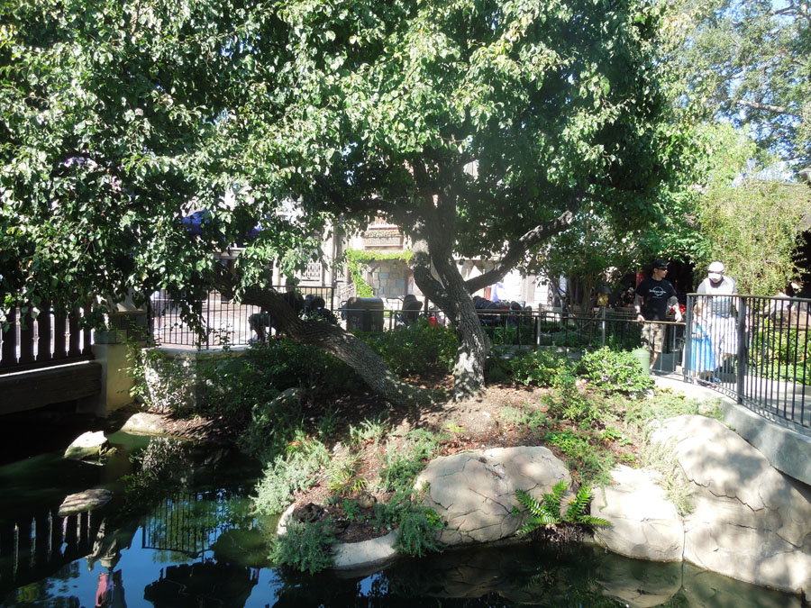 Disneyland Fantasyland Castle Picture