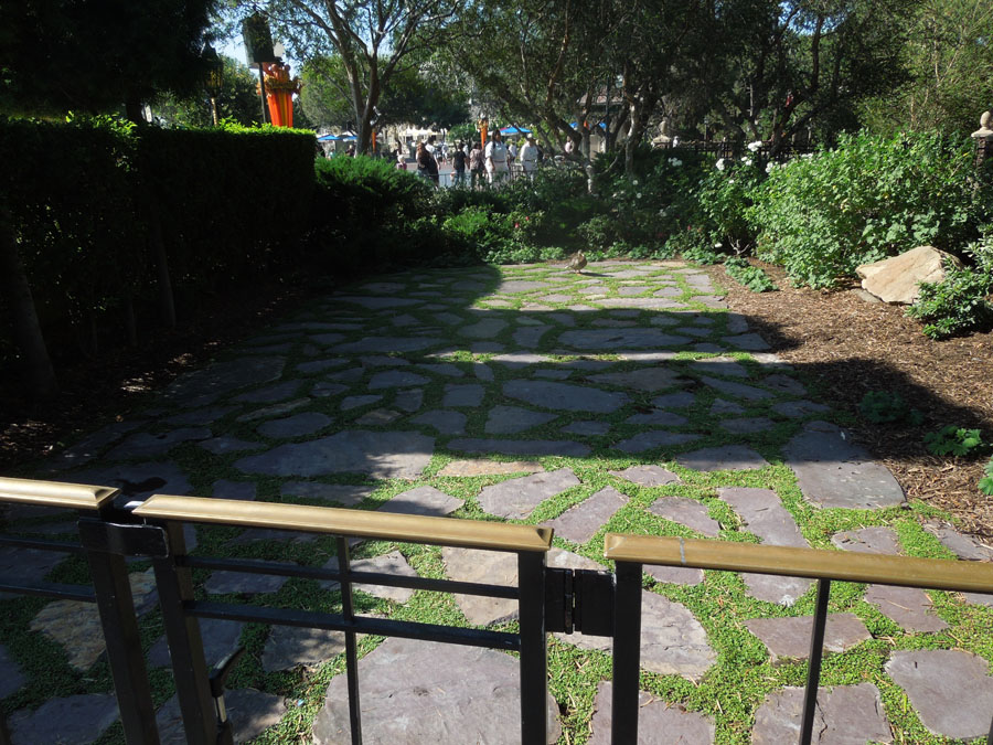Disneyland Fantasy Faire Picture